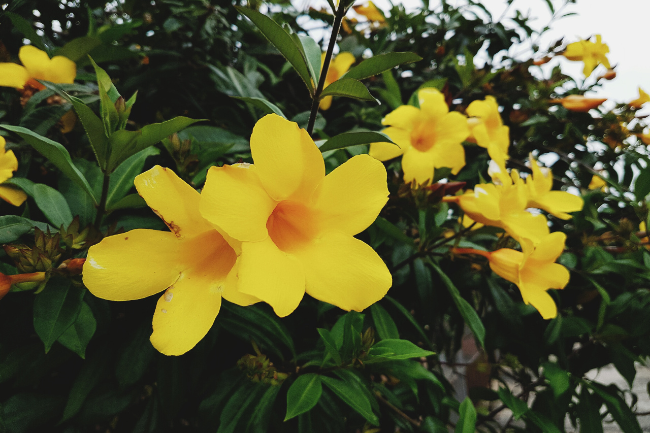 TE ESCREVI UM BILHETE