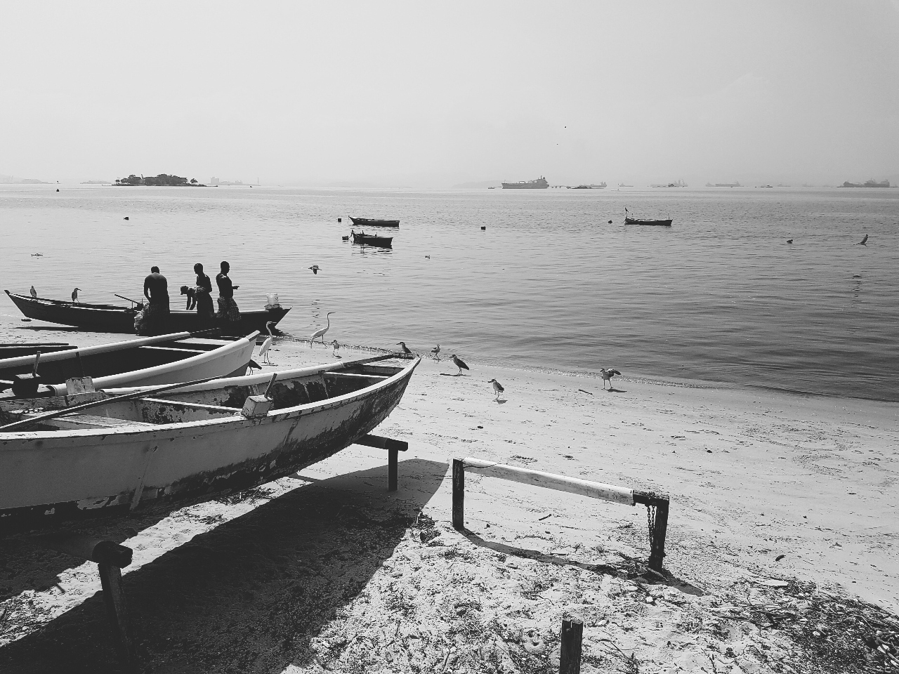 NO DIA EM QUE OS PASSARINHOS CANTARAM