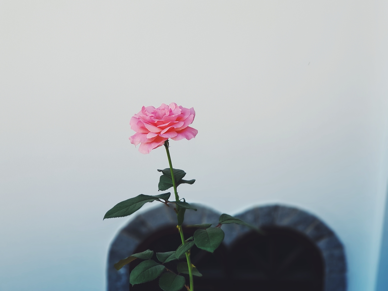 SONETO ENTRE FRACASSOS