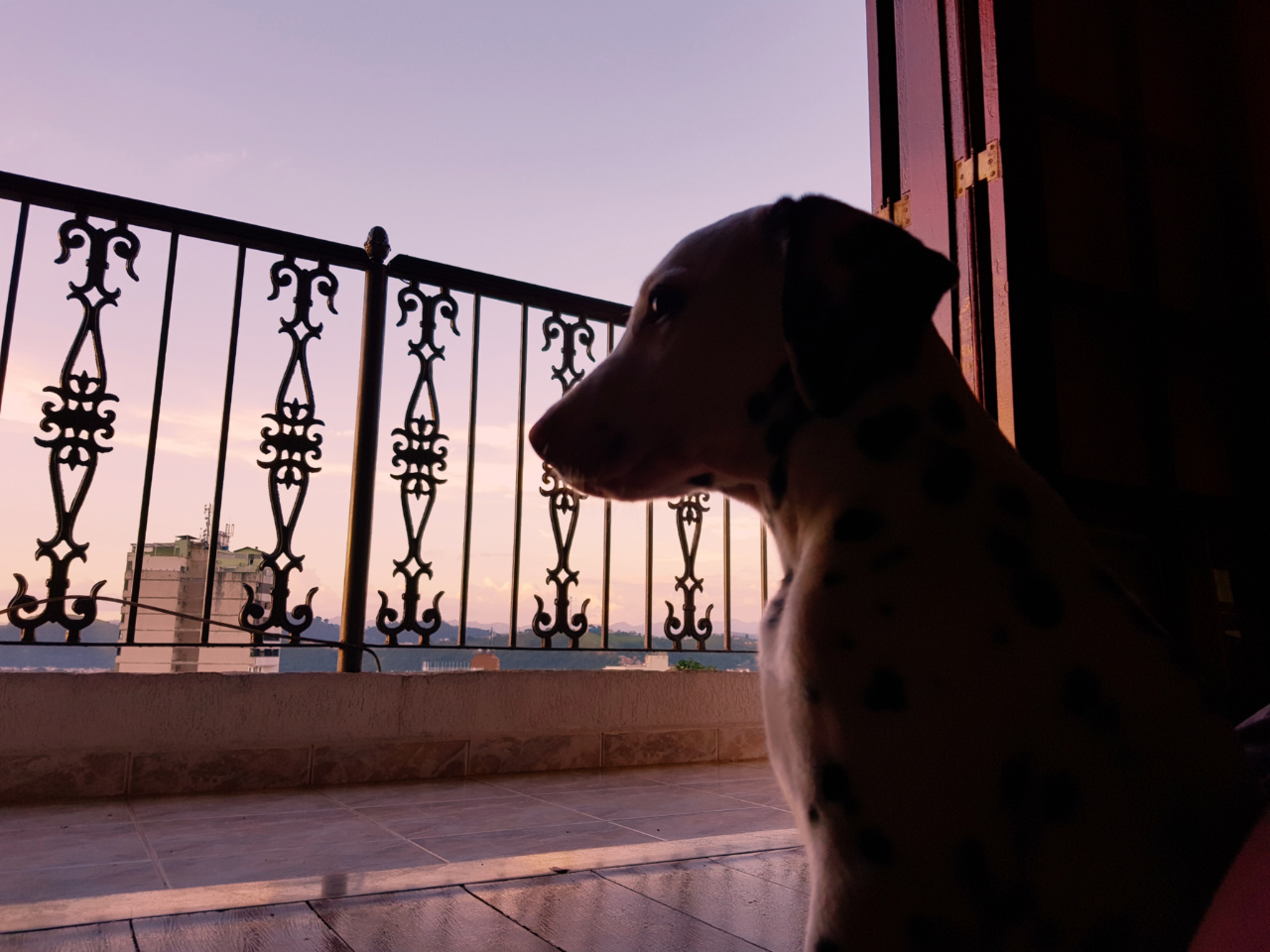 NA SACADA POSSO VER O SILÊNCIO