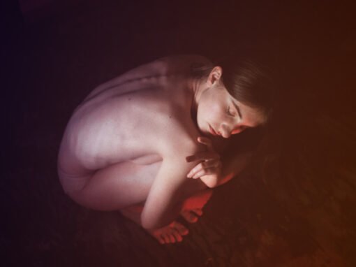ZÉJEL N°10 (PÁSSARO MULHER) ZÉJEL N°10 (PÁSSARO MULHER)
