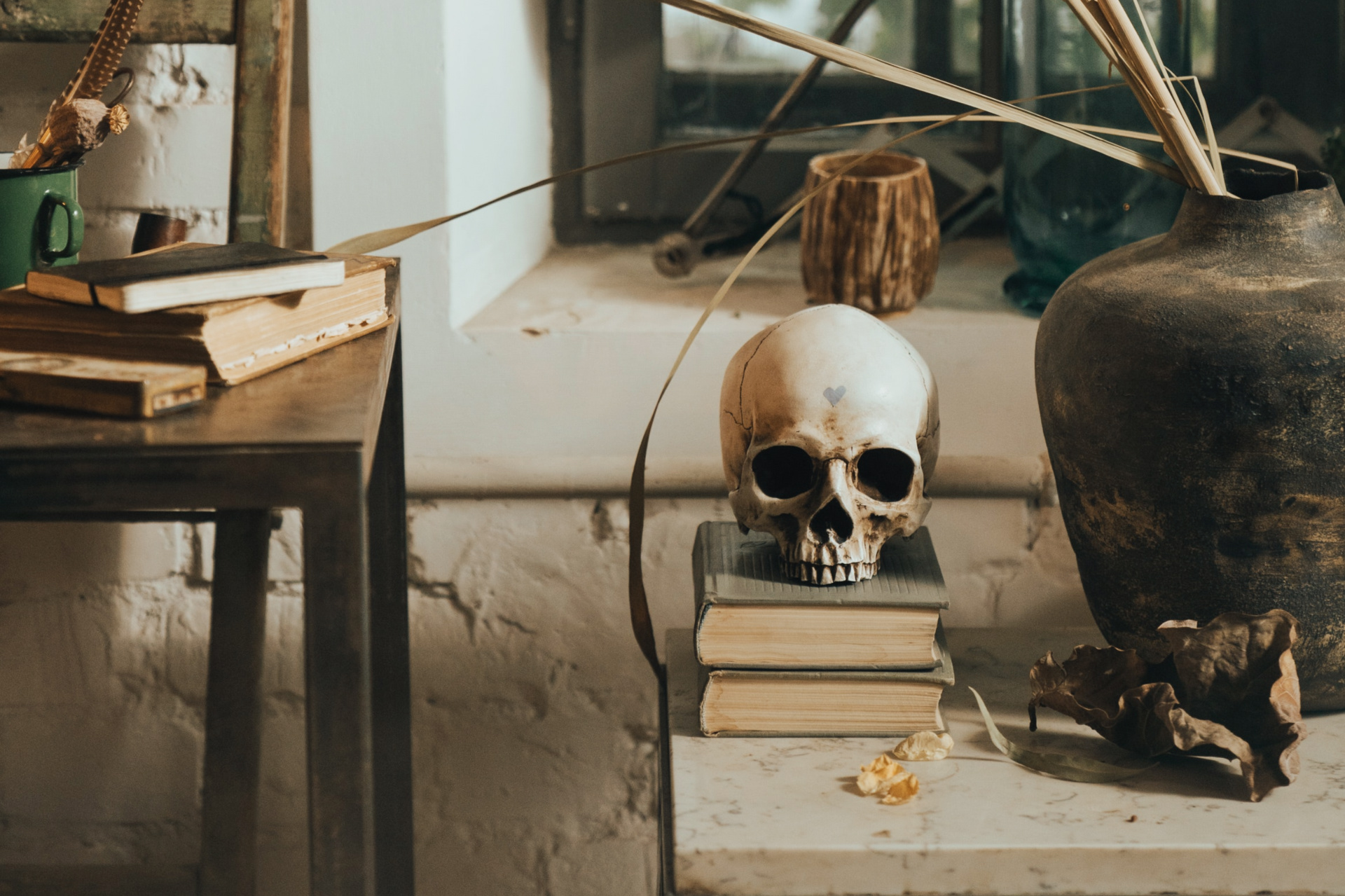 ZÉJEL N°05 (LUCINA)