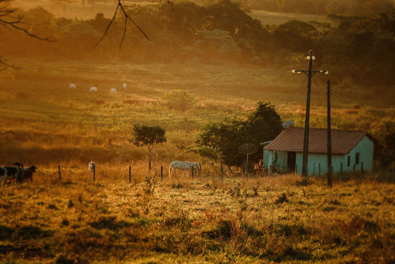 SONETO CASA DE VÓ